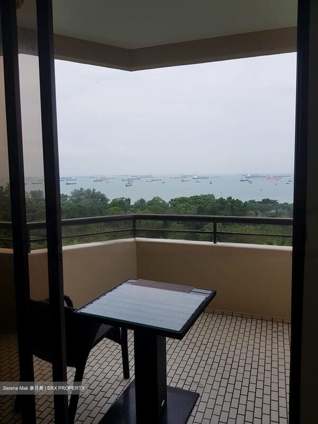 Bayshore Park (D16), Condominium #466963951